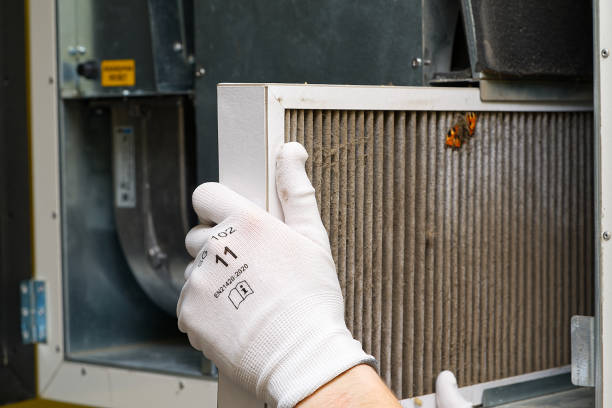 Best Air Duct Cleaning Company Near Me  in Laramie, WY